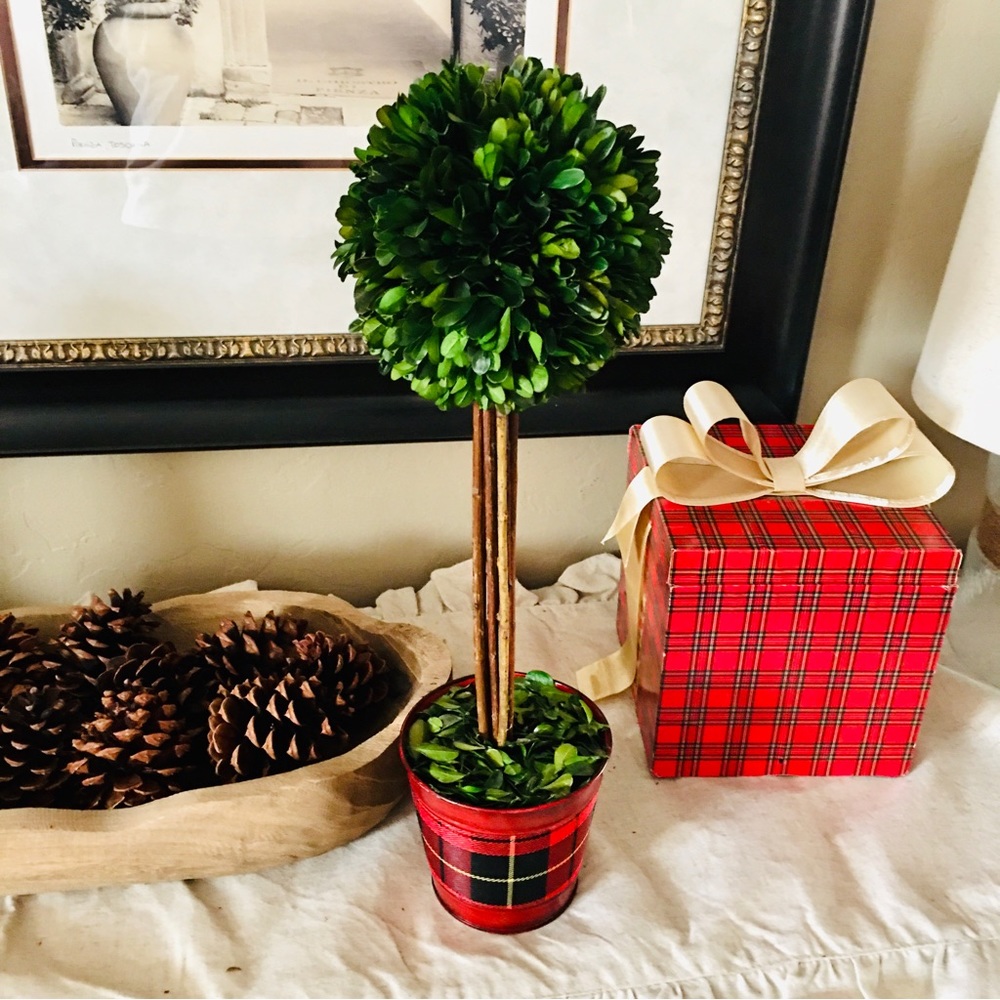 Plaid topiary green  plant holiday Christmas home decor — cottage farmho…